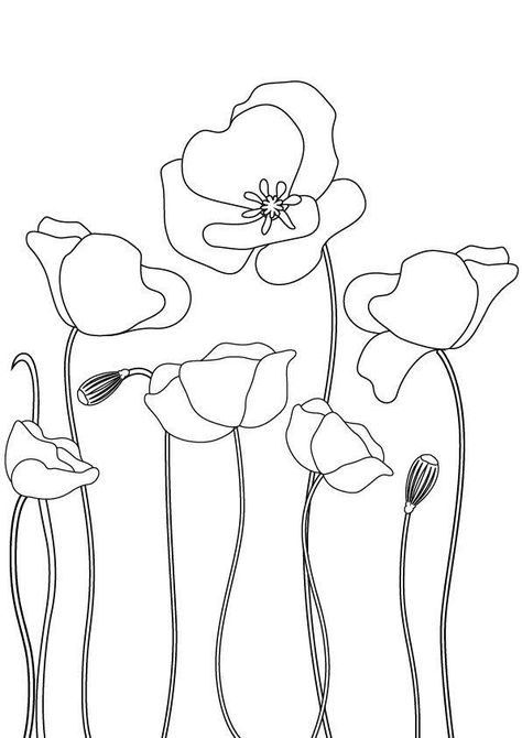 Poppies Line Drawing, Poppy Flower Embroidery Pattern, How To Draw Poppy, Poppy Simple Drawing, Poppy Flower Line Drawing, How To Draw A Poppy Flower, Poppies Doodle, Poppy Embroidery Pattern, Poppy Line Drawing