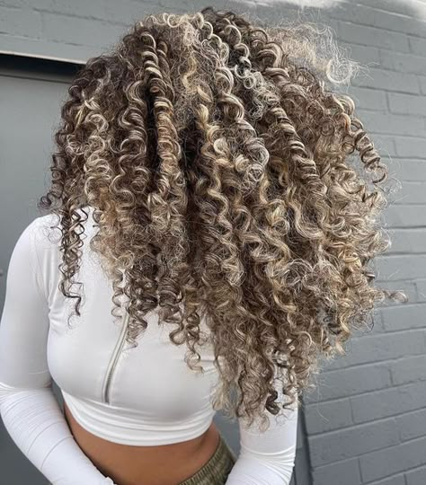 Urban Bloom Curls on Instagram: "Ashy Curly Goals😍🔥 Keep note this type of color job requires multiple sessions, salon and home maintenance and it’s not cheap. Beautiful Curly balayage by Alexis @curlssbyylexx #balayage #curlybalayage #ashycurls #urbanbloomcurls" Ashy Curly Hair, Balayage On Dark Curly Hair, Ashy Blonde Highlights, Curly Balayage, Curly Balayage Hair, Ashy Blonde Balayage, Crazy Curly Hair, Blonde Highlights Curly Hair, Ashy Balayage