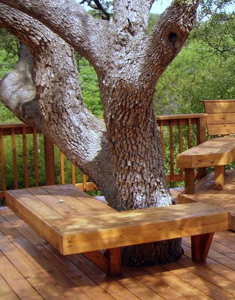 Seating around tree Deck Around Trees, Neighborhood Entrance, Bench Around Trees, Ideas Para Decorar Jardines, Tree Seat, Tree Deck, Rustic Outdoor Furniture, Landscaping Around House, Landscaping Around Trees