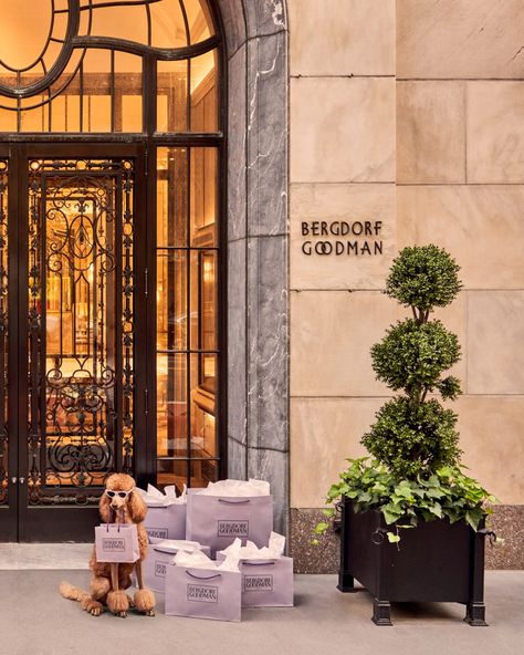 Treat yourself to some re-tail therapy 🐾 Enjoy 25% off all animal prints at graymalin.com Pictured: Shopping Spree, Bergdorf Goodman #graymalin #dogsofinstagram #nyc #newyork #poodle #shopping #cute #bergdorfgoodman #fineart The Dog Star, Gray Malin, Adventure Lifestyle, Nyc Shopping, Dog Images, Dogs Of The World, Picture Collage, Dog Halloween, Shopping Spree