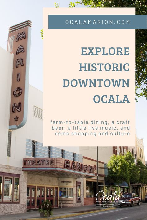 Ocala Florida Things To Do, Ocala Florida, Marion County, Waterfront Restaurant, Exp Realty, Travel Diaries, Historic Downtown, Outdoor Market, Historic District