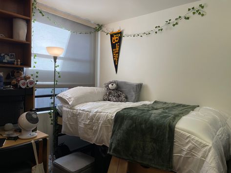 Guys dorm room green vines csulb lbsu long beach state Dorm Room Green, Guy Dorm, Guy Dorm Rooms, Long Beach State, Room Green, Green Vines, Long Beach, Dorm Room, Room Ideas