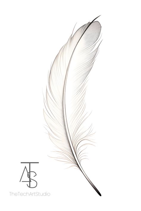 Transform your space with minimalist feather art. Explore digital downloads for a touch of elegance. #BohoWallArt #FeatherPrints

Discover the allure of Minimalist Feather Line Drawings. Elevate your space with Boho Wall Art that captures the essence of Feather Wall Art. Explore the world of Printable Wall Art, Line Art, and One Line Art with our Digital Downloads. Embrace simplicity and elegance in Feather Prints. Drawing Feathers Sketches, Bird Feathers Drawing, Falling Feathers Drawing, Feather Line Art, Feathers Drawing, Aztec Headdress, Feather Sketch, Feather Drawing, Feather Tattoo Design