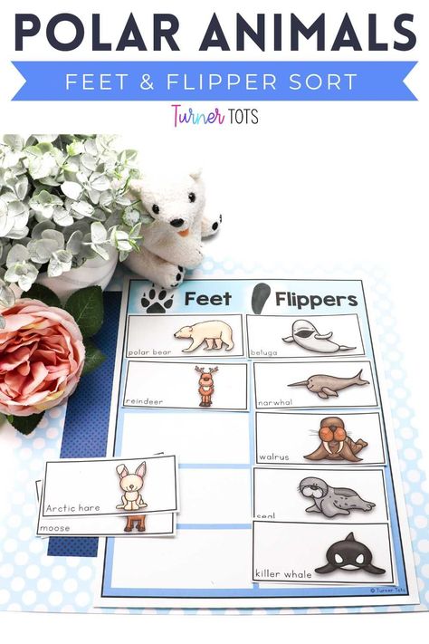 Dive into the fascinating world of polar animals with this "Feet vs. Flipper Sort" activity! This hands-on experience is perfect for preschoolers to explore the unique adaptations of Arctic creatures. Let their curiosity soar as they discover how different animals like penguins, seals, and polar bears have evolved to navigate their icy habitats. Come join the fun and embark on a journey through the frozen wilderness. Download this Arctic animal adaptation activity today! Artic Animal Toddler Activities, Preschool Arctic Theme, Artic Animal Activities For Preschoolers, Arctic Animal Activities For Preschool, Arctic Animals Toddler Activities, Arctic Animal Crafts For Preschool, Artic Animal Crafts For Kids, Arctic Activities Preschool, Arctic Preschool Activities