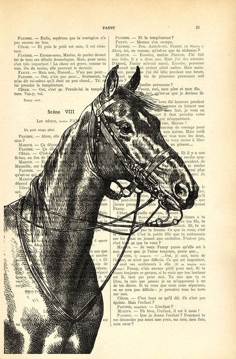 Horse Art Print, Horse Posters, Illustration Book, Horse Illustration, Equestrian Decor, Dictionary Art Print, Dictionary Page, Horse Portrait, Dictionary Art