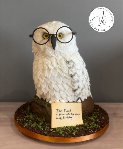 Owl Cake Design, Owl Cake Ideas, Harry Potter Hedwig Cake, Hedwig Birthday Cake, Harry Potter Owl Cake, Hedwig Cake, Harry Potter Snacks, Owl Cake Birthday, Harry Potter Owl