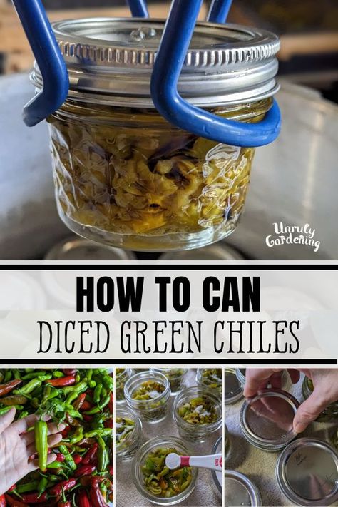 Canning Diced Green Chiles (& Other Peppers) - Unruly Gardening Canning Green Chiles, What To Do With Green Chili Peppers, How To Can Green Chili Peppers, Canning Green Chilies, How To Can Green Chilies, Canned Chili Peppers, Hatch Chili Canning Recipes, Green Chili Canning Recipe, Diced Green Chiles Canning