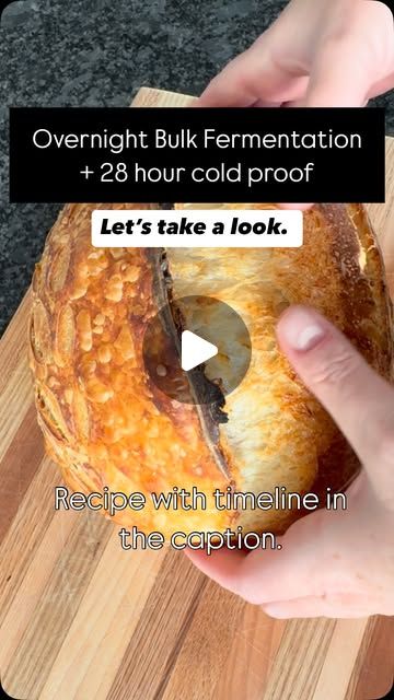 The Village Bakehouse | Ali on Instagram: "Overnight Bulk Ferment + 28-Hour Cold Proof = Dreamy Sourdough Crumb

There’s something magical about slicing into a loaf after a long, slow fermentation. The flavor, the structure, the crumb—it’s all worth the wait! The timeline I used to achieve this beauty is below. 

Recipe:
	•	500g bread flour
	•	350g barely warm water
	•	70g active starter
	•	10g salt

Timeline:
	•	4:45 PM: Mix the dough and let it rest.
	•	Perform 3 sets of stretch and folds, spaced 30 minutes apart.
	•	Leave the dough to bulk ferment overnight at room temperature.
	•	5 AM: Shape the dough and transfer it to the fridge for a 28-hour cold proof.
	•	Day 3 (9 AM): Bake straight from the fridge for the best flavor and texture.

Note: At this time of year, our kitchen is cold ov Sourdough Timeline, Sourdough Crumb, Discard Recipe, Sourdough Starter Discard Recipe, Discard Recipes, Dough Recipes, Sour Dough, Bread Making, Ranch Chicken