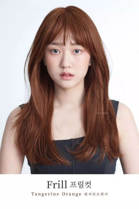 Haircut 2022, Hair Color Asian, Peinados Hair Styles, Korean Hair Color, Brown Hair Looks, The Cardigans, Ginger Hair Color, Dyed Hair Inspiration, Hair Inspiration Short