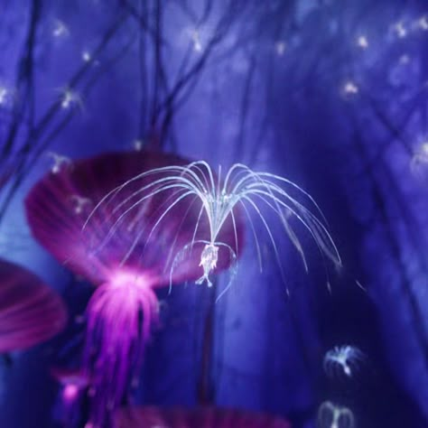 Pandora Avatar Widgets, Purple Navi Avatar, Avatar Background Pandora, Avatar World Pandora, Eywa Tree Avatar, Avatar Pandora Aesthetic, Avatar Pandora Nature, Avatar Movie Aesthetic, Avatar The Way Of Water Aesthetic