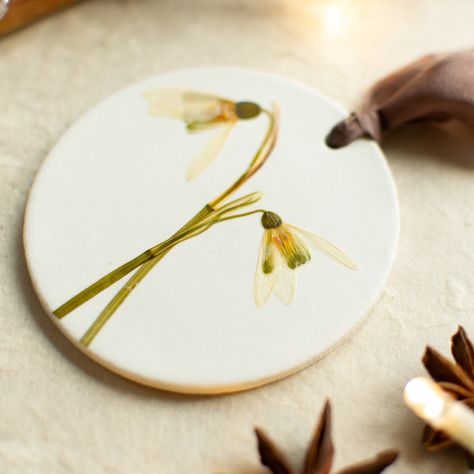 A handful of festive pressed flower ornaments have just been added to my website, featuring gorgeous snowdrops, ivy, mistletoe and Queen Anne’s Lace (these beauties remind me of snowflakes!). Each handmade ornament is unique and features flowers and foliage lovingly grown in my garden here in Worcestershire. 🤍🌲 #festivedecor #handmadewithlove #smallbusinessuk #ivy #mistletoe #snowdrop Small Business Uk, Hand Dyed Silk Ribbon, Flower Ornaments, Hand Dyed Silk, Pressed Flower, Handmade Ornaments, Queen Anne, My Garden, Silk Ribbon