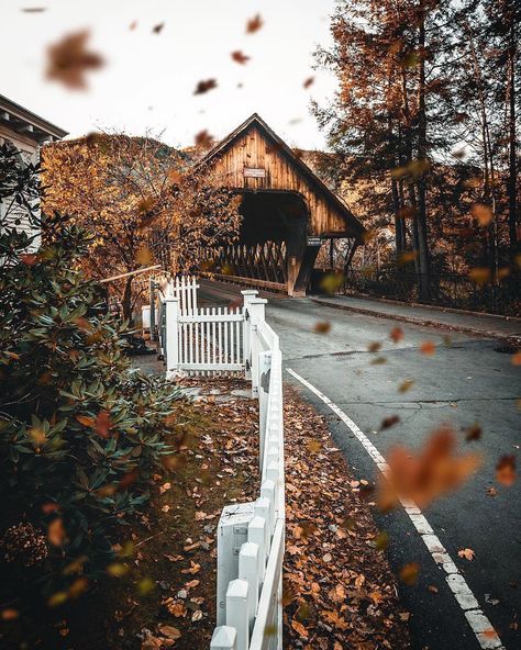 Woodstock, Vermont Vermont Photoshoot, Woodstock Vermont Fall, Vermont Aesthetic, Artsy Girl Aesthetic, Woodstock Vermont, Fall Foliage Road Trips, Artsy Girl, Vermont Fall, Fall Road Trip