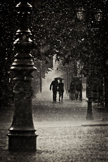 Fragments of Water, by Pensiero People Walking In The Rain, I Love Rainy Days, Rainy Days And Mondays, Love Rainy Days, Walk In The Rain, I Love The Rain, Under An Umbrella, Berlin Photos, About Rain