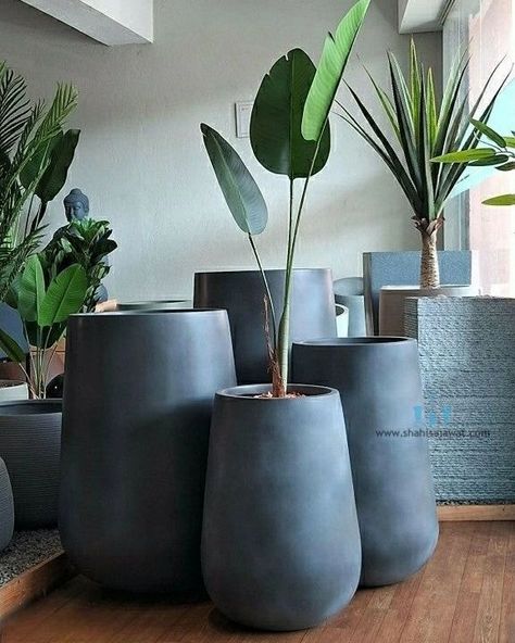 The Black Vase Shaped FRP Planter With Its Handcrafted Matte Finished Body Adds A Unique And Minimalistic Touch To Any Spaces. Showcase Your Favorite Plants In Style And Bring A Touch Of Natural Charm To Your Interior. Using Fiberglass Planters In Your Plantscaping Designs Is A Great Way To Enhance The Beauty Of Any Indoor Or Outdoor Landscape. Their Durable, Commercial Grade Construction And Vast Color Choices Make Fiberglass Plant Containers An Interiorscape And Exterior Landscaping Favorit... Exterior Landscaping, Plant Containers, Fiberglass Planters, Black Vase, Outdoor Landscape, Vase Shapes, Outdoor Landscaping, Container Plants, Color Choices