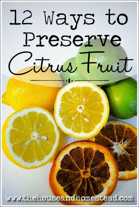 Learn how to preserve citrus fruits like oranges, lemons and limes and have them on hand whenever you need them. #preservecitrus #preservelemons #preserveoranges #citrusrecipes Storing Citrus Fruit, How To Preserve Limes, Preserving Zucchini, Preserve Lemons, Canning Recipes For Beginners, Food Preservation And Storage, Canning For Beginners, Citrus Cleaner, Lemons And Limes