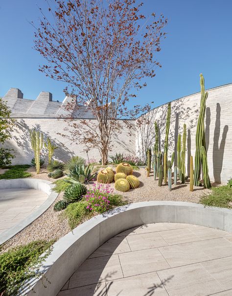 Phoenix Gallery — 360 Degrees | Landscape Architecture Garden With Succulents, Desert Gardens, Commercial Landscaping, Low Maintenance Landscaping, Health Wellbeing, Desert Garden, Landscape Designs, Landscape Architects, Beach Bungalows