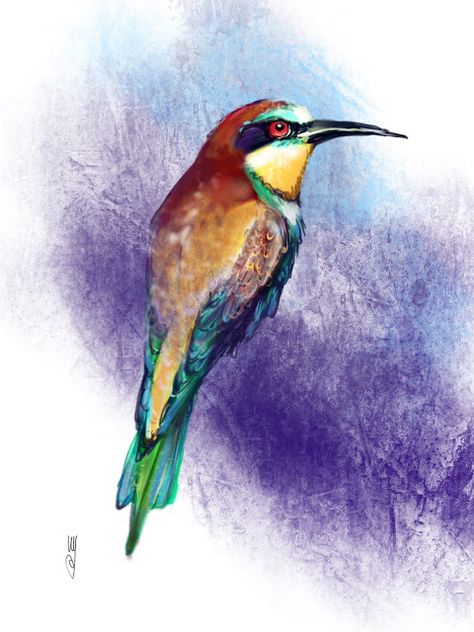 Bee Eater Watercolor, Present Drawing, Bird Watercolor Paintings, Bird Sketch, Bee Eater, Bird Painting, Bird Drawings, Bird Illustration, Colorful Birds