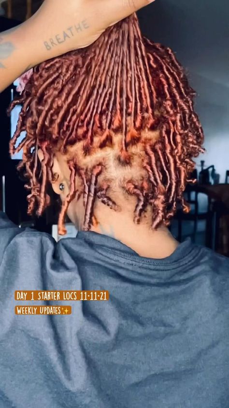 Starter Locs ! weekly updates on this page. | Red brown hair, Curly hair styles easy, Locs hairstyles Brown Hair Curly, Curly Faux Locs, Hair Styles Easy, Healthy Natural Hair Growth, Natural Hair Twist Out, Braided Hairstyles For Black Women Cornrows, Short Locs Hairstyles, Faux Locs Hairstyles, Starter Locs