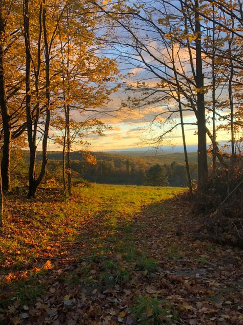 Backroads Aesthetic, Fall Nature Aesthetic, Wald Wallpaper, Fall Meadow, Autumn Countryside, Autumn Sky, Fall Landscape, Pretty Landscapes, Autumn Nature