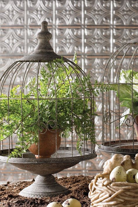 Find Dome Top Bird Cage. For the bird lovers out there so enjoy having their favorite bird inside their home and prefer the Dome top cages’ older style, you are in luck. we just so happen to have a collection of Dome top bird cages in many styles you can choose from. We have some for smaller birds and so… Birdcage Planter, Farmhouse Fresh, نباتات منزلية, Bird Cage Decor, Birdcages, Have Inspiration, Bird Cages, Deco Floral, Shabby Vintage