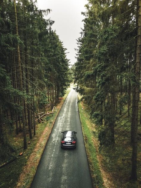 S Wallpaper Hd, Car On Road, Licence Plate, Forest Road, Game Trailers, Wallpapers Images, Tree Forest, Adobe Photoshop Lightroom, Black Car