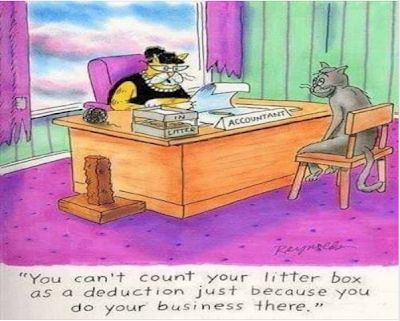 Tax Season Humor, Tax Humor, Taxes Humor, Accounting Humor, Cat Jokes, Cat Comics, Cartoon Jokes, E Card, Cats Meow