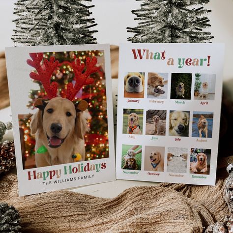 Dog Photo Christmas Card Template, Dog Year in Review Photo Card, Pet Holiday Card, What A Year Card Photo Collage, Christmas Card With Dog Christmas Card Photo With Dog, Christmas Card Dog Photo Ideas, Pet Christmas Cards Photo Ideas, Dog Christmas Card Ideas, Christmas Cards Family Photo With Dog, Christmas Card With Dog, Christmas Photos With Dogs Xmas Cards, Christmas Cards Dogs Photo, Dog Photo Christmas Cards