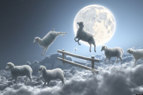 "10 Tips To Help You Get To Sleep" by Debbie Woodbury for #HuffingtonPost. "Sleep is the best meditation." Dalai Lama Sheep Art, Counting Sheep, Slaap Lekker, Good Night Sweet Dreams, How To Get Sleep, Character Development, Stars And Moon, Sweet Dreams, All Art