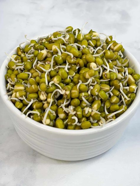 Easy, wholesome, and fresh, sprouted moong (mung) salad made from sprouts, fresh vegetables, herbs and, seasonings. Vegan, gluten-free, and oil-free. Sprouts Salad Indian, Moong Recipe, Salad Indian, Moong Sprouts, Quick Protein, Masala Tea, Worksheets Kindergarten, Sprouts Salad, Veggie Delight