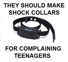 They should make shock collars for complaining teenagers Shock Collar Human, Shock Collar, Funny Things, Funny Quotes, Life Quotes, Humor, Human, Collar, Funny