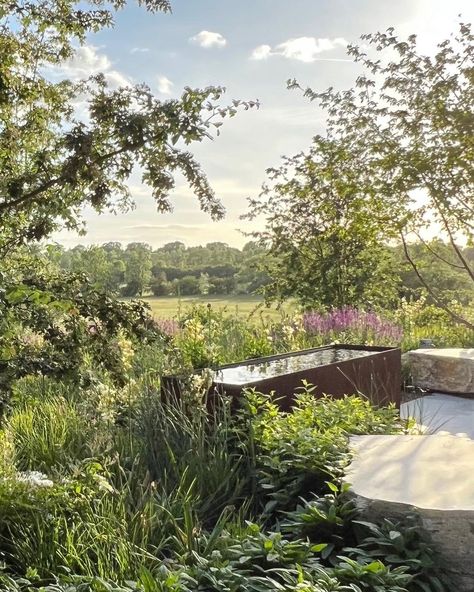 Colm Joseph Gardens on Instagram: “view over perennial meadow to countryside beyond in one of our cambridgeshire gardens - checked in on this garden last week and great to…” Perennial Meadow, Naturalistic Planting, Flowering Perennials, Hawthorn Tree, Countryside House, Backyard Garden Design, Ornamental Grasses, Back Garden, Landscape Lighting