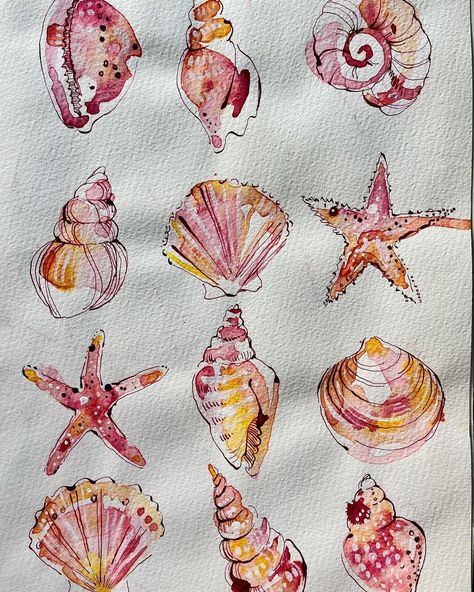 Ohn Mar Win | #throwbackthursday another favourite piece of mine are these sea shells from early 2021. It’s a favourite way of working - loose… | Instagram Ohn Mar Win, Loose Watercolour, Shell Drawing, Moleskine Sketchbook, Gcse Art Sketchbook, Seashell Painting, Dorm Art, Diy Watercolor Painting, Watercolour Inspiration