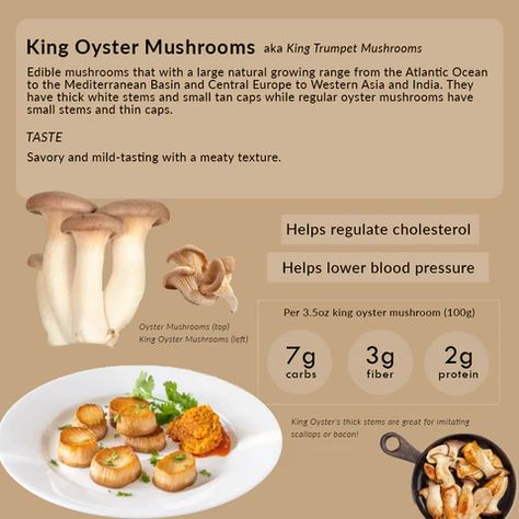 King Oyster Mushroom Benefits, Gentle Nutrition, King Oyster Mushroom, King Oyster Mushrooms, White Button Mushrooms, King Oyster, Mushroom Varieties, Alkaline Recipes, Healthy Journey