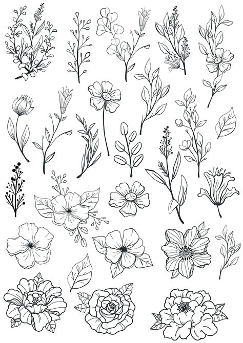 Find & Download Free Graphic Resources for Commercial Use Svg Vectors, Stock Photos & PSD files. ✓ Free for commercial use ✓ High Quality Images. Floral Cricut Designs, Wildflower Template Free Printable, Silhouette Flowers Design, Cricut Flower Projects, Flowers Outline Drawing, Wild Flower Illustration, Outline Of Flowers, Flowers Party Decor, Patch Sleeve