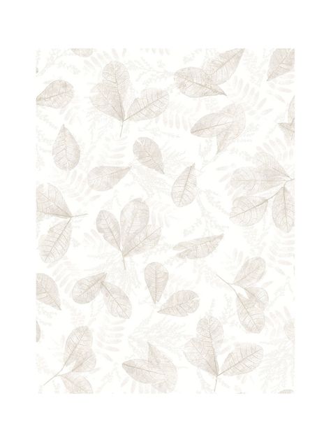 Galerie Fossil Leaf Toss Wallpaper at John Lewis & Partners Nature Palette, Cosy Interior, Water Printing, Color Schemes Colour Palettes, Tactile Texture, Tree Wallpaper, Wood Tones, Yoga Room, Calm Water