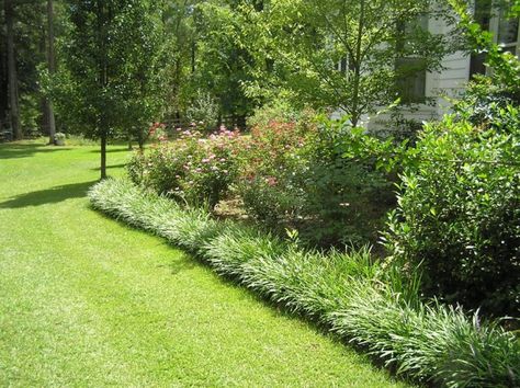 Monkey Grass Border Grass Border, Monkey Grass, Landscaping With Roses, Affordable Backyard Ideas, Large Backyard Landscaping, Garden Rock Border, Fountains Backyard, Pond Landscaping, Backyard Water Feature