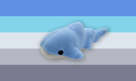 Shark Xenogender, Silly Gender, Xeno Flags, Xeno Genders, Xeno Hoard, Xenogender Hoard, Gender Pronouns, Shark Plush, Gender Flags