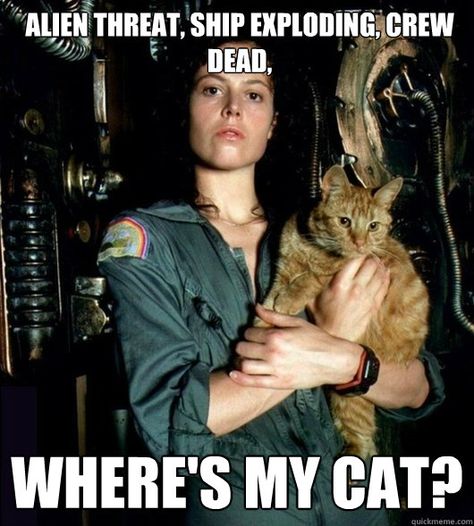 Alien threat, space ship exploding, crew is dead... WHERE'S MY CAT!!? Ripley / Alien #meme #humor #funny #geek #nerd Alien Sigourney Weaver, Sigourney Weaver Alien, Kino Box, People With Cats, Dian Fossey, Ellen Ripley, Alien Movies, Alien Movie, Alien 1979