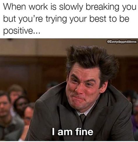 Positive Meme, Clever Quotes Funny, Job Memes, Funny Day Quotes, Workplace Humor, Work Quotes Funny, Gay Humor, Teacher Memes, Work Motivation