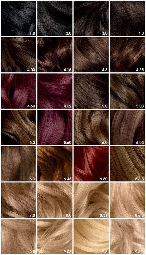 Caramel Red Hair Color, Olia Hair Color, Pelo Color Vino, Garnier Hair Color, Garnier Olia, Redken Hair Color, Redken Hair Products, Dyed Blonde Hair, Hair Color Chart