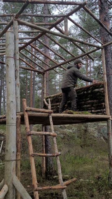 Bush Shelter Ideas, Camping Shelters Diy, Survival Shelters Bushcraft, Survival Shelter Long Term, Bushcraft Shelter Long Term, Survival Shelter Ideas, Bushcraft Cabin, Wilderness Shelter, Shelters In The Woods