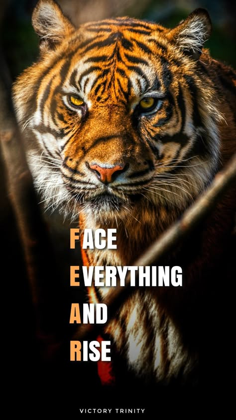 This pin contains motivational wallpaper. Use it to ignite your day Underestimate Quotes, Bull Quotes, Lion Motivation, Tiger Quotes, Kalki Avatar, Life Quotes Relationships, Face Everything And Rise, Apj Quotes, Lion Quotes