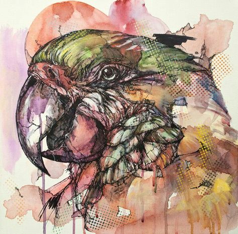 Gcse Art Flight Theme, Gcse Art Animals, A Level Art Sketchbook Layout, Exotic Animals Art, Natural Forms Gcse, Endangered Species Art, Jungle Animal Art, Parrot Drawing, Zoo Art