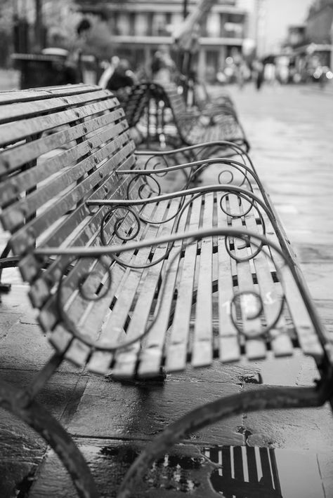 NOLAwalk13-0150 Park Bench Aesthetic, Lock Every Door, Bench Aesthetic, Riley Sager, Enchanting Aesthetic, Apple Aesthetic, Black And White Bedroom, Park Benches, Urban Heat Island