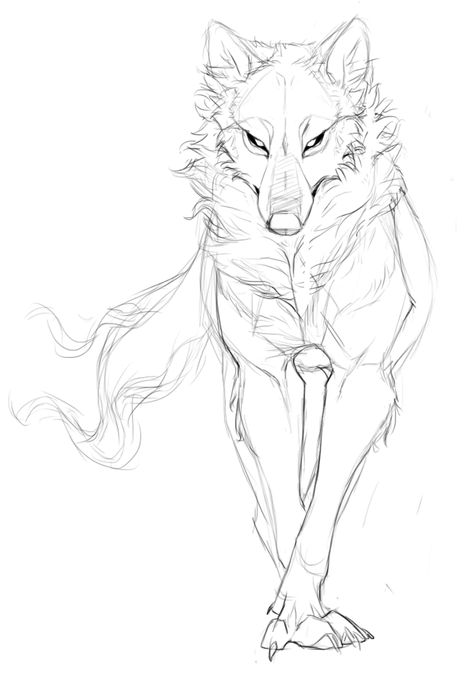 Animal Drawing Inspiration, Drawing Dogs, Wolf Sketch, Couple Drawing, Animal Reference, Wolf Drawing, Cutest Animals, A Wolf, Animal Sketches