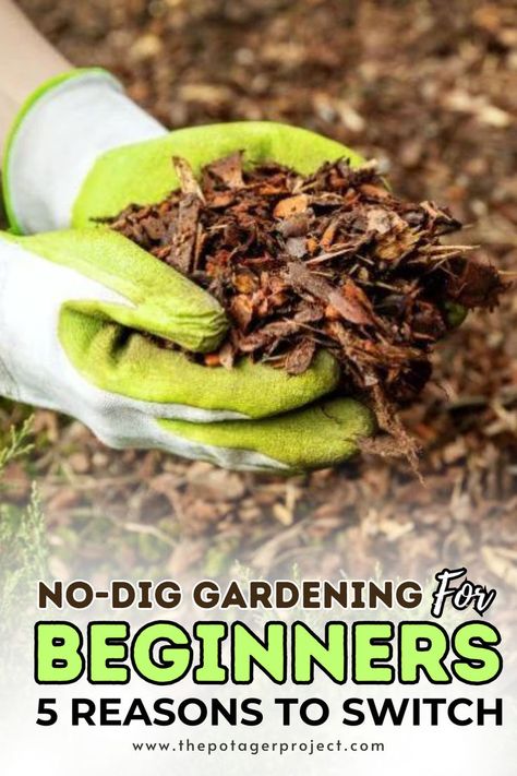 Gardener with green gloves holding a bunch of bark mulch, with small shrubs and plants visible nearby. No Dig Garden, Charles Dowding, Dig Gardens, Farming System, Farm Fun, Garden Guide, Gardening Advice, Soil Health, Start Today