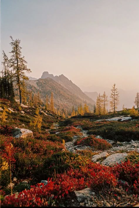 Cascade National Park, North Cascades National Park, Pretty Landscapes, North Cascades, Autumn Days, Autumn Vibes, Rocky Mountain National Park, Alam Yang Indah, Nature Aesthetic