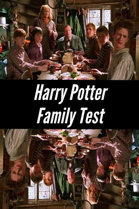 They say some things just run in the family. For instance – kids in some households inherit their old folks’ knack for carpentry or cooking, while other parents raise their children to be conniving little backstabbers who bully orphans. Have you ever stopped and thought to yourself if you were actually a long-lost member of one of the families in Harry Potter? Harry Potter Parents, Parent Quiz, Family Quiz, Potter Family, Adoption Papers, Harry Potter Memes Hilarious, Harry Potter Funny, Harry Potter Memes, Just Run