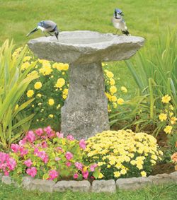 rock birdbath Stone Bird Baths, Rock Fountain, Hydrangea Care, Planting Pot, Bird Bath Garden, Bird Baths, Beautiful Bird, Backyard Birds, Garden Cottage