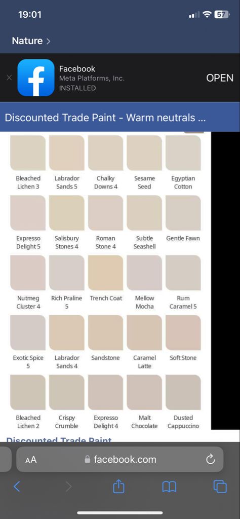 Dulux Warm Neutrals, Dulux Gentle Fawn, Bedroom Colours, House Colour, Painted Curtains, Chocolate Cappuccino, Cosy Living, Gentle Fawn, Cosy Living Room